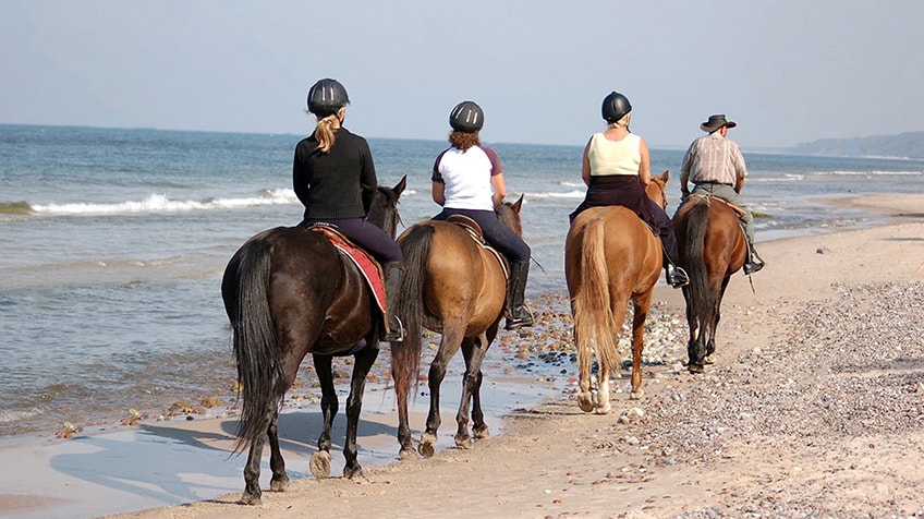 RUTAS A CABALLO · RUTAS A BICICLETA