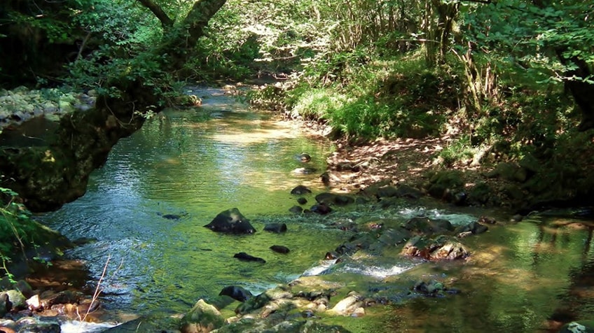 PARQUE NATURAL DEL SAJA · BESAYA