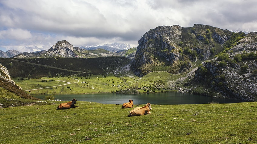 PARQUE NACIONAL DE LOS PICOS DE EUROPA