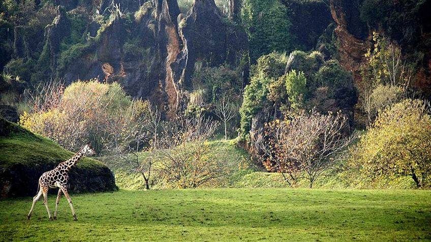 PARQUE NATURAL DE CABARCENO ZOO